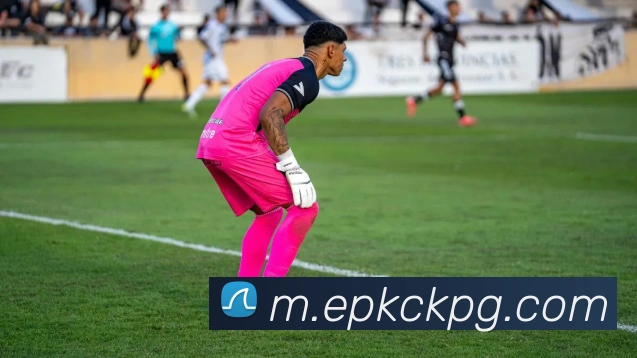 App Interface Preview