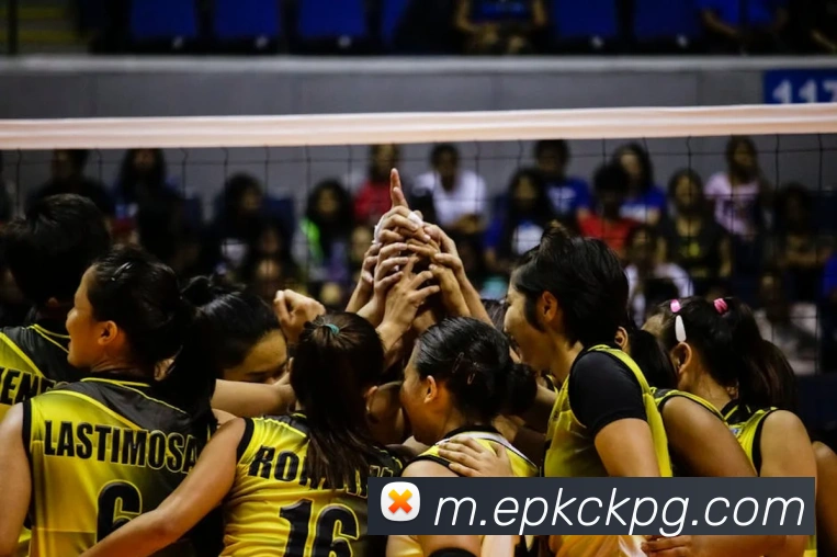 澳门新葡京官方网站APP 封面图